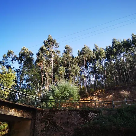 Casa Da `vó Micas Cardeal (Coimbra)